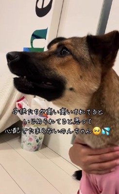 「子どもたちがいじめられている！」