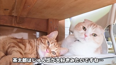 仲直りしたよ♡