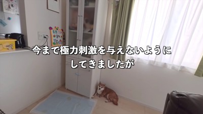 少しずつ慣れて行こう