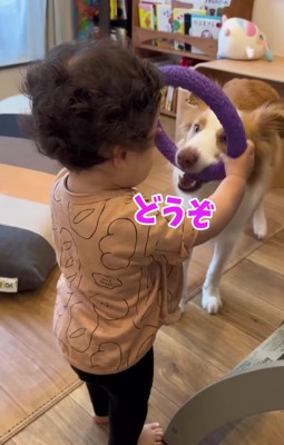 おもちゃを持つ子供と咥える犬