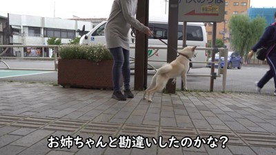 知らない人をお姉ちゃんだと勘違い!