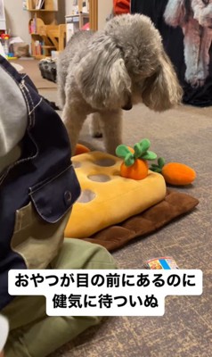 男の子が遊ぶ準備をするのを待つグリィくん4