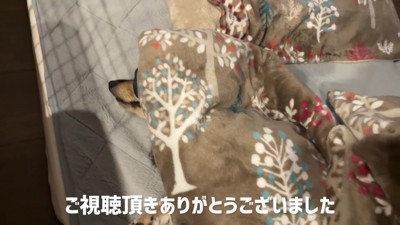 幸せそうな姿が愛おしい