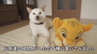 優しさにほっこり♪