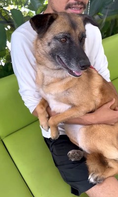 動物病院でビビりまくるアキちゃん5