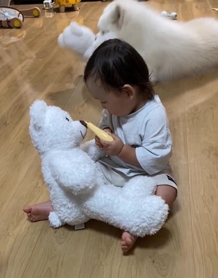 激しく遊ぶこはくちゃん
