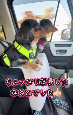 成長する姿に涙…