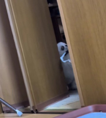 助走をつけることに