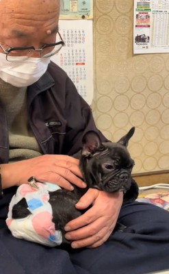 ぶーちゃんを抱きなおすおじいちゃん