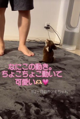 飼い主さんが横にずれると…