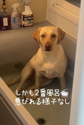 「なんですか？」