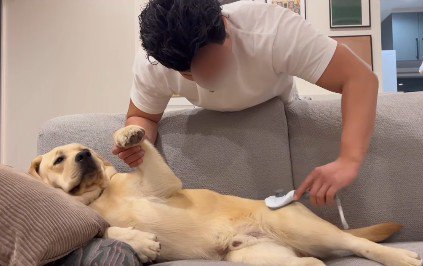 家に来たばかりのころ