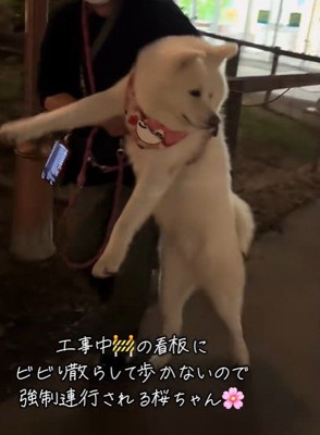 「看板が怖いよ～…」