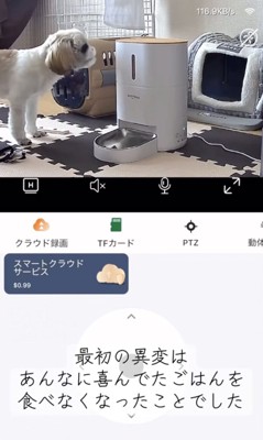 何かがおかしい…