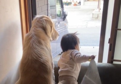 同じ方向を見つめる犬と赤ちゃん