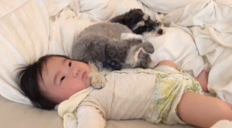 赤ちゃんを枕にするトトちゃん4