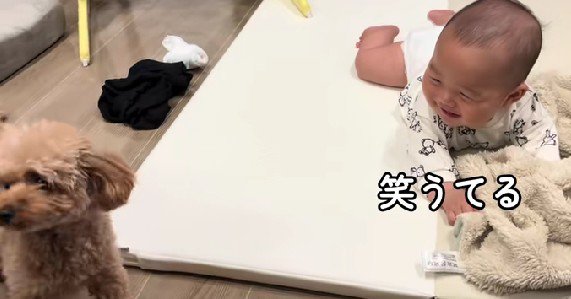 赤ちゃんもニッコリ