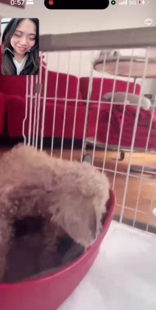 投稿主さんを探すハッピーちゃん