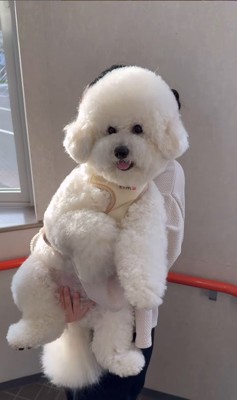 ぽむくんの成長5