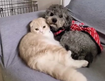 きゅうちゃんとじゅんちゃん