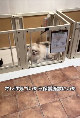 木ノ葉丸くんとの出会い