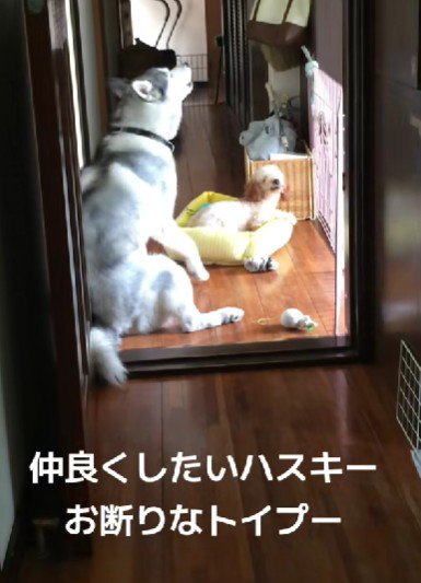 先輩を遊びに誘うも…