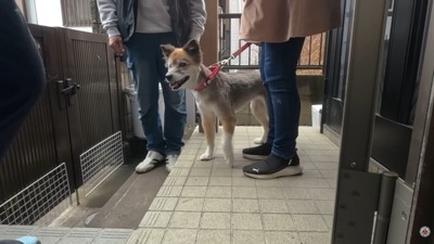 満足そうなお顔で帰宅♪