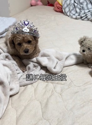 ちくわちゃん