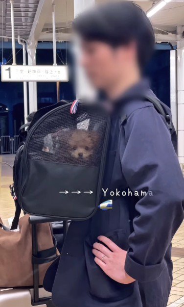 おうちまで長旅