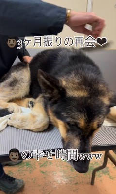 ボンドちゃんもうっとり