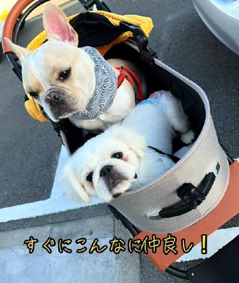 どこでも一緒♪