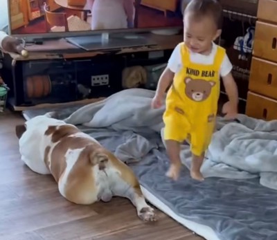 犬のあとを嬉しそうに追う子ども