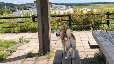 「飛行機とかよく見える」