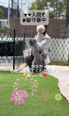 レオくんとサラちゃんの熱烈歓迎8