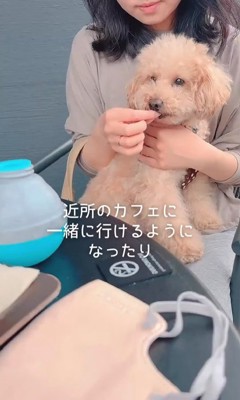 すいーぶ君の変化6