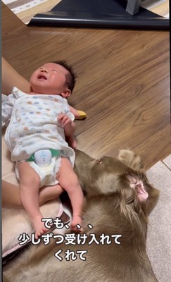 ルルちゃんと赤ちゃん5