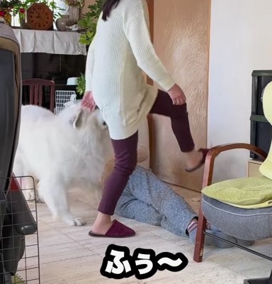 足を上げるおばあちゃんの横に超大型犬