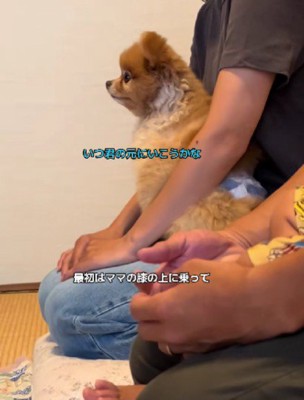 雰囲気に馴染んでる