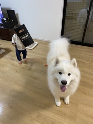 熊