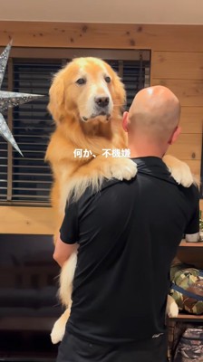 男性に抱っこされながら遠くを見つめる犬