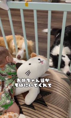 赤ちゃんを見守るアグちゃんとパーちゃん