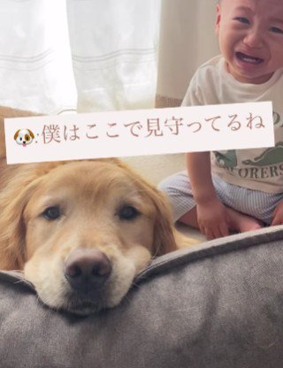 心の支えになったことでしょう