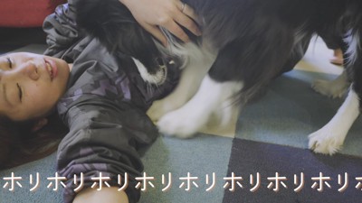 「遊ぼうよ！」と床をホリホリ