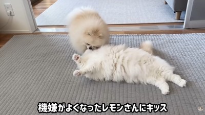 怒られたポテチくん3