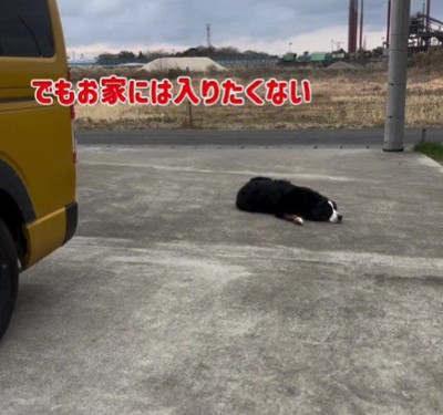 「もっと車に乗りたい！」
