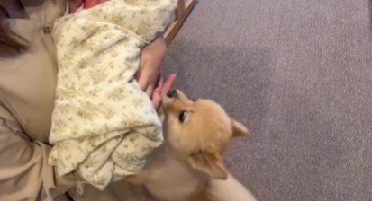 「見せて!見せて!」