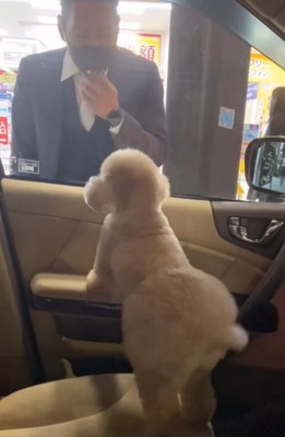 興奮気味の犬