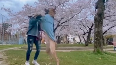 飼い主に甘える犬