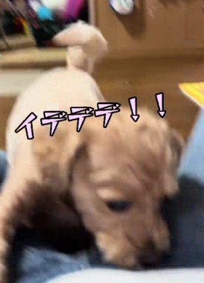 5分後に突然攻撃態勢に!!