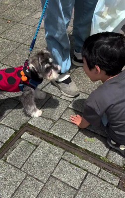 「ただの可愛い子」